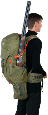 Kinglet 35 - view: 2