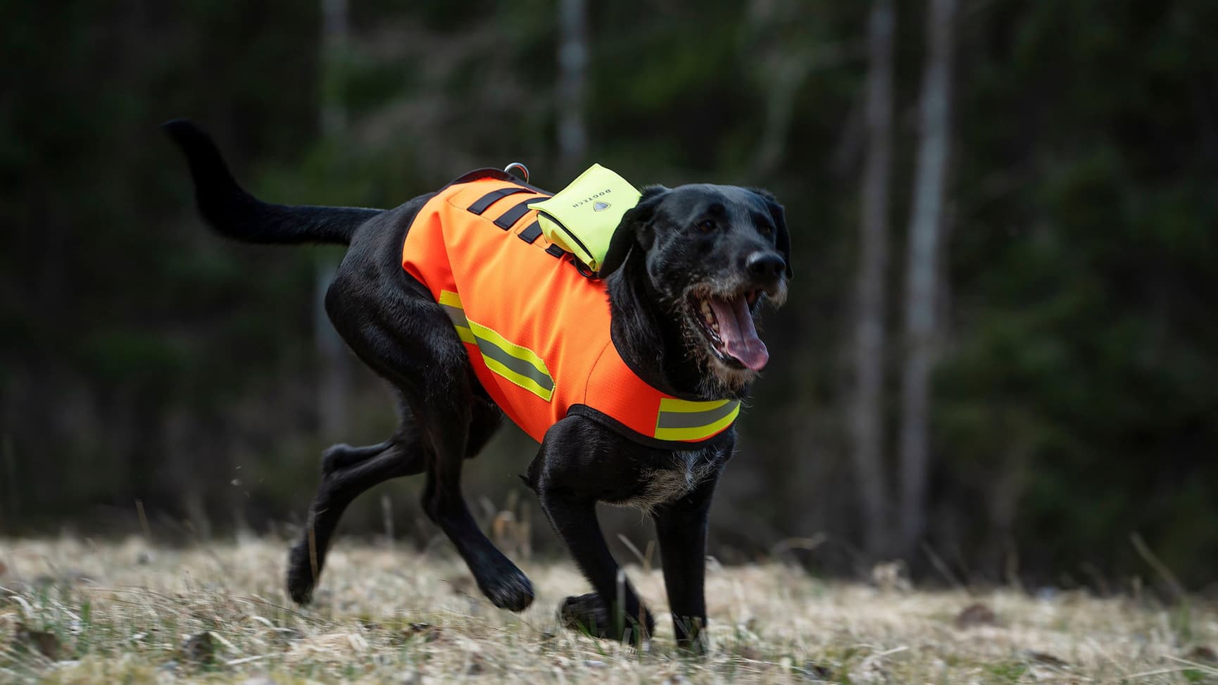 Dogtech HiVis Vest, view: 2
