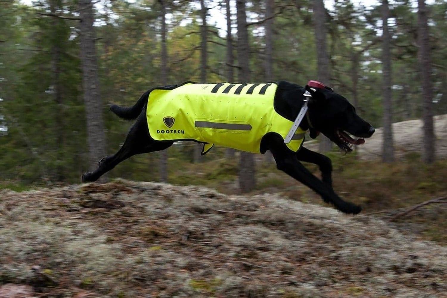 Dogtech ONE Modular Vest Yellow, view: 3