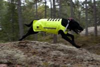 Dogtech ONE Modular Vest Yellow - view: 3