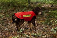 Dogtech ONE Modular Vest Red - view: 1