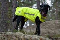 Dogtech ONE Modular Vest Yellow - view: 1