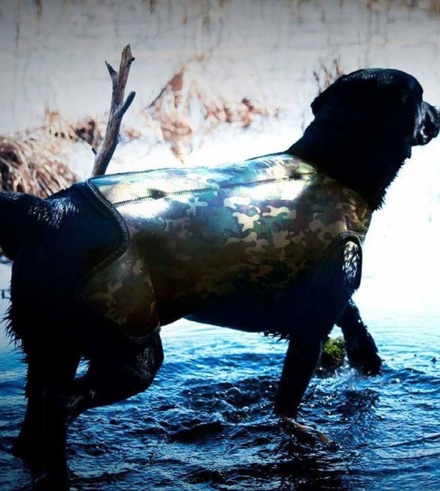 DogTech Retriever Neoprenvest, view: 2