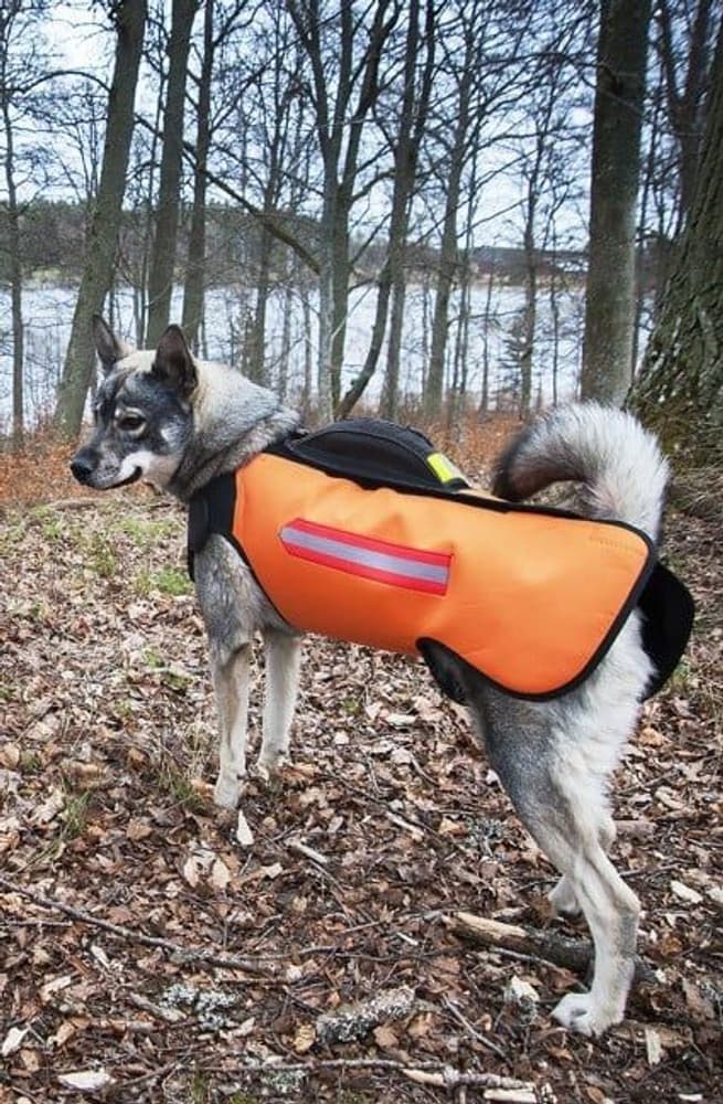 DogTech Euro Beskyttelsesvest 2017, view: 2