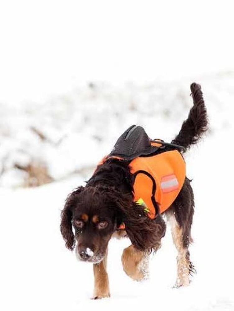 DogTech GPS hundevest med flyteevne, view: 2