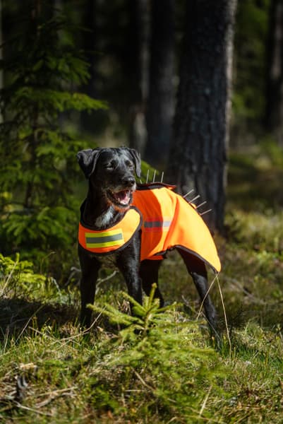 Dogtech One Generation 2 Grundväst Gul, view: 3