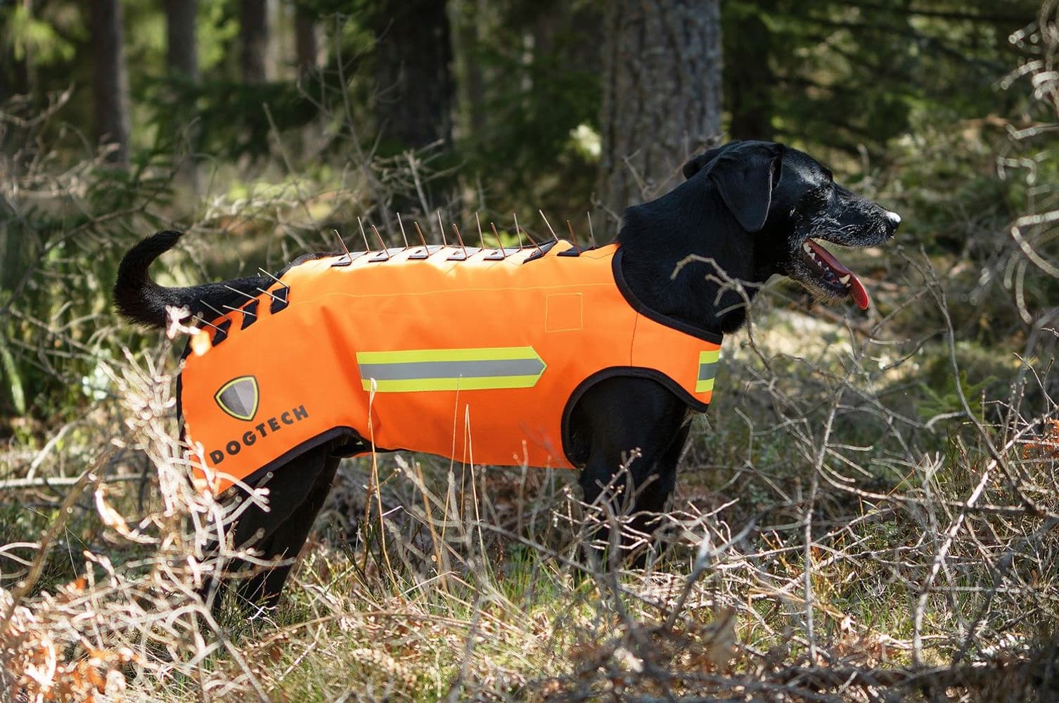 One Generation 2 Add-On Vargstål L, view: 4