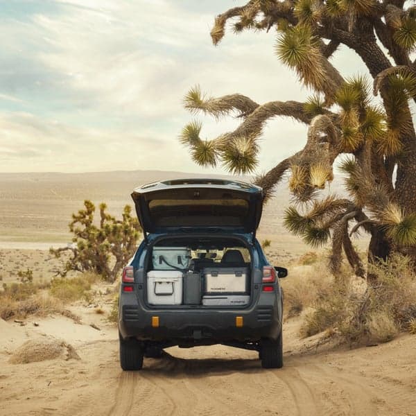 Hydration Water Jug 11L Ash, view: 7