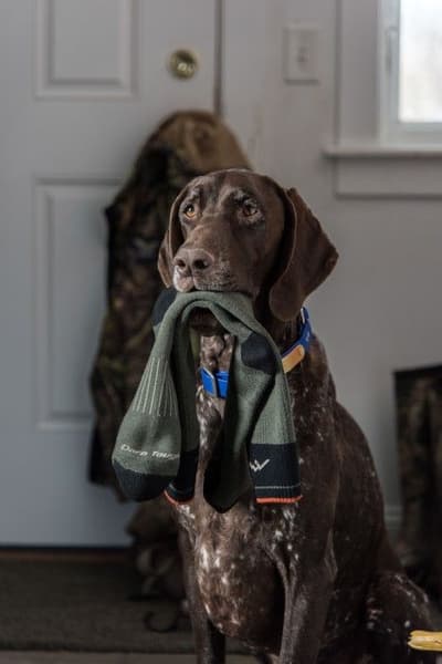 M's Hunter Over the Calf Extra Cushion Charcoal, view: 1