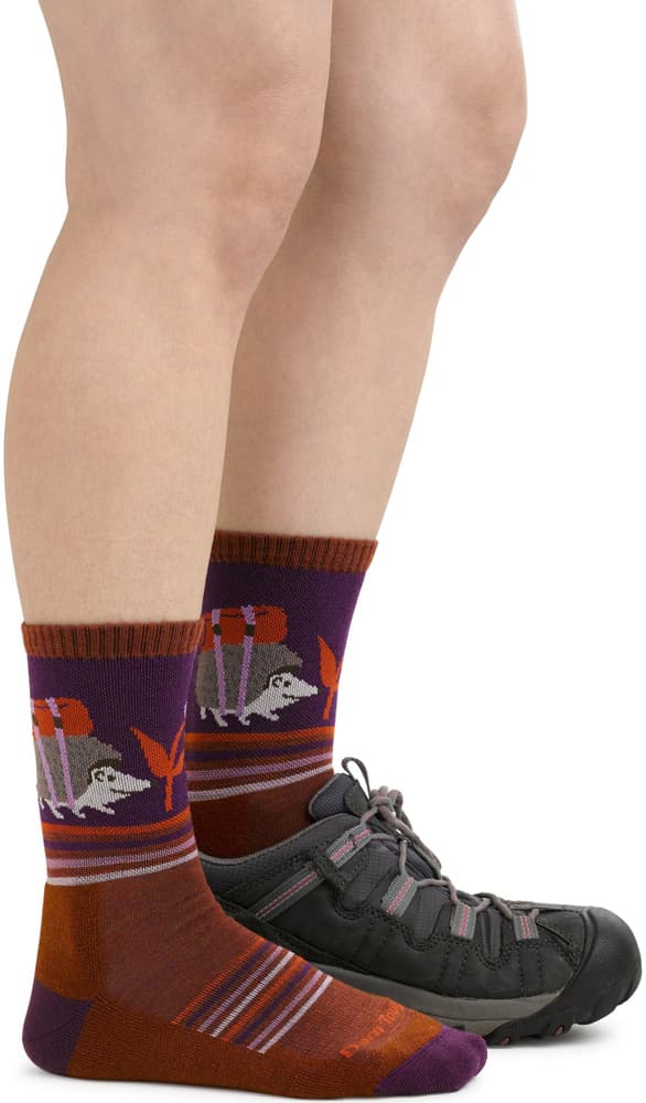 W's Critter Club Micro Crew Lightweight with Cushion Chestnut, view: 1