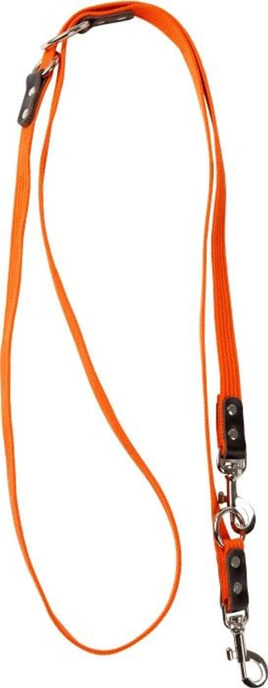 Dressurbånd Oransje, view: 0