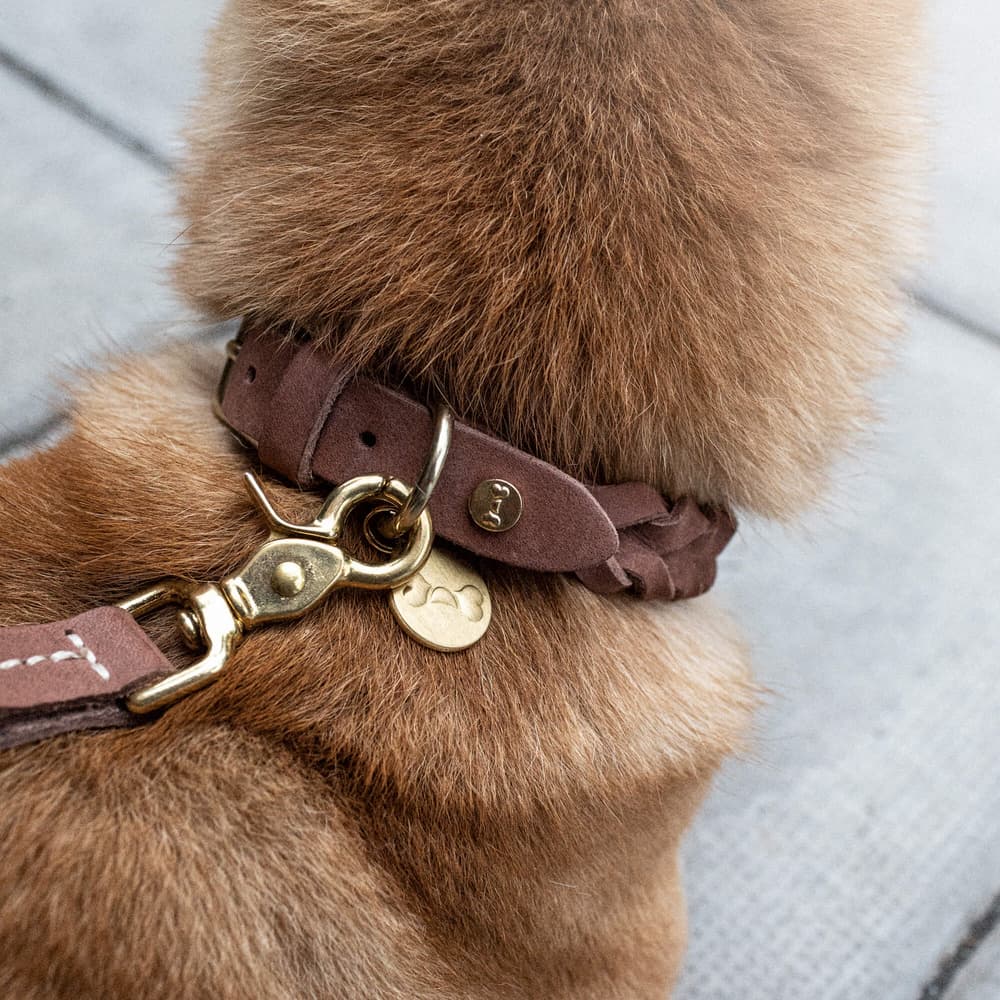 Stockholm Halsband Hazel XS, view: 1