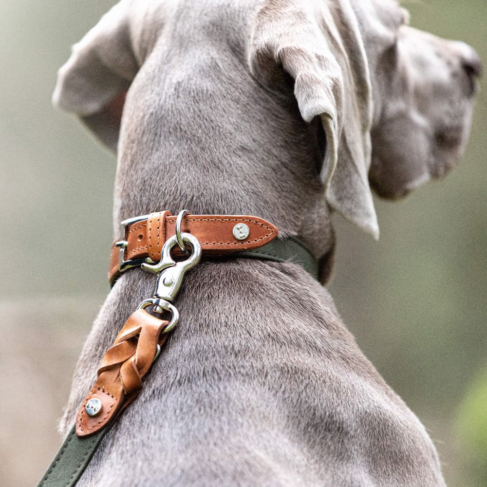 Signature Citykoppel Cognac/Khaki Large, view: 2