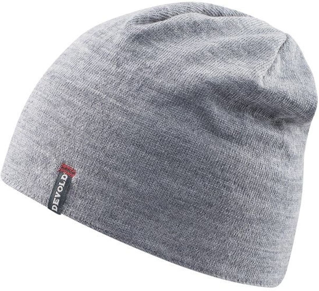 Friends Beanie Grey Melange, view: 0