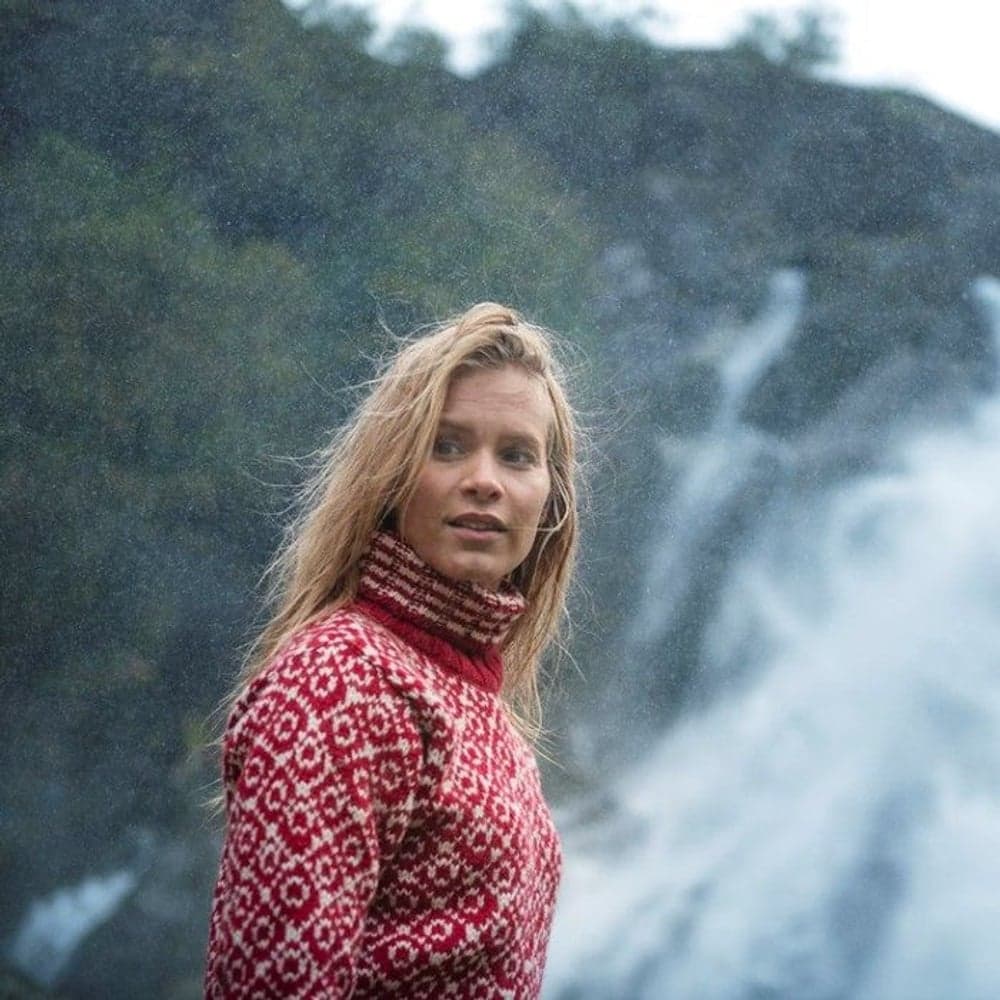 Svalbard Sweater High Neck Hindberry/Off White, view: 3