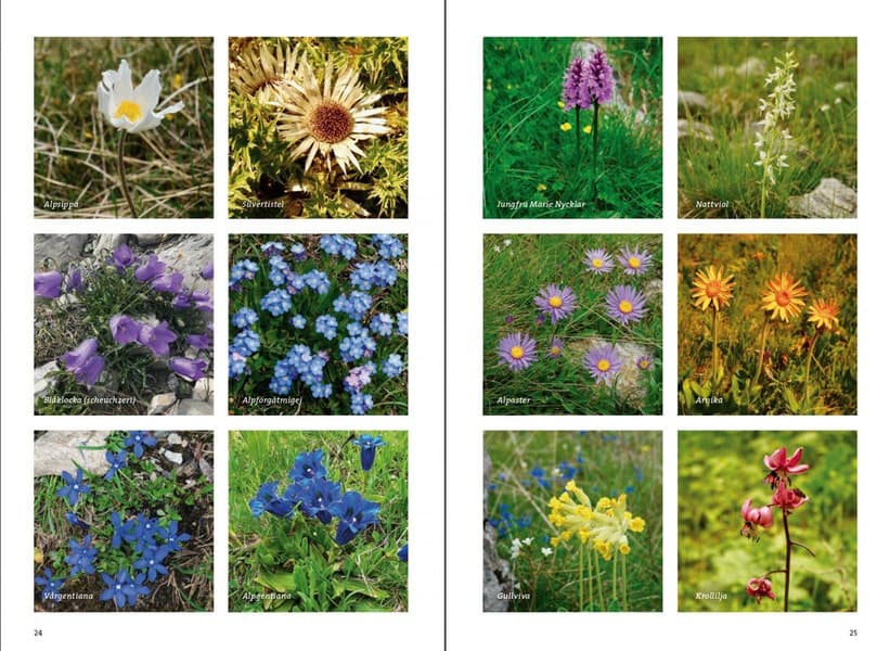 Vandre i Provence, view: 2