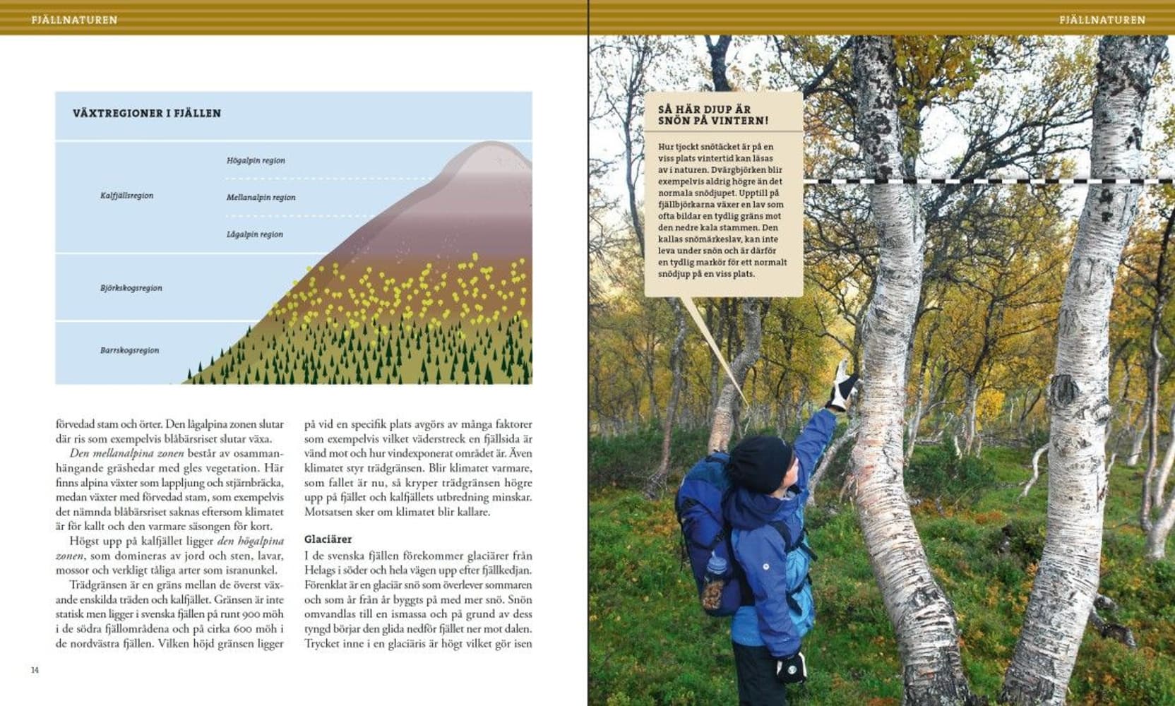 Vandra i fjällen, view: 2