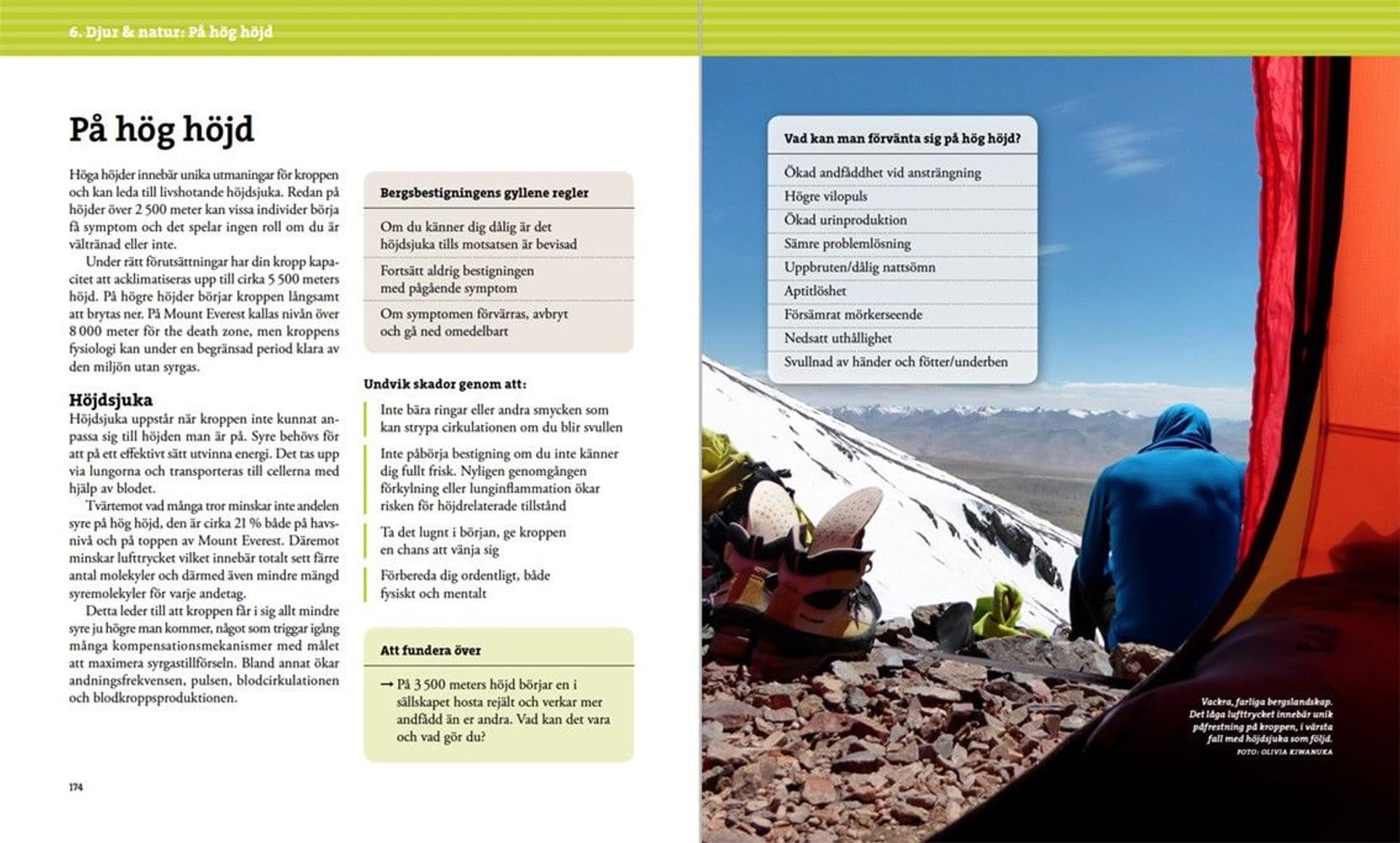 Vildmarksmedicin, view: 8