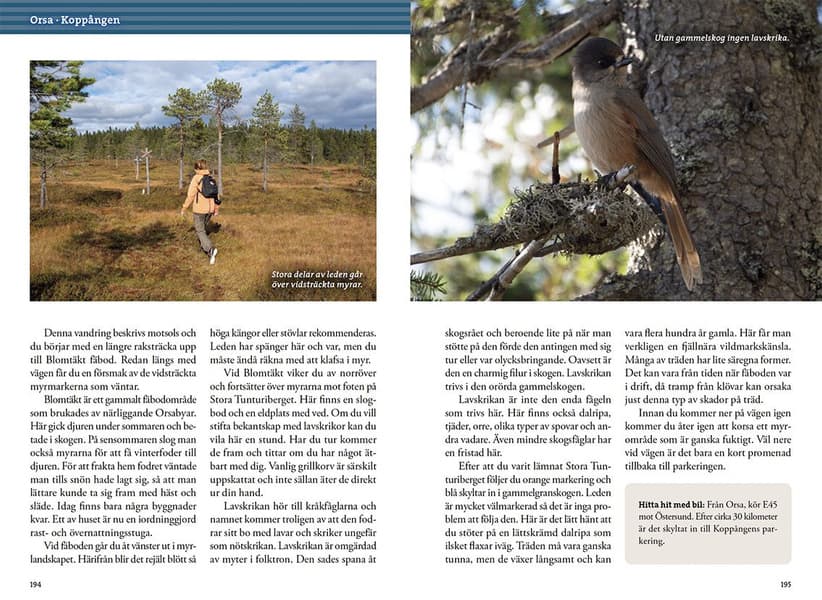 Vandring kring Siljan, view: 9