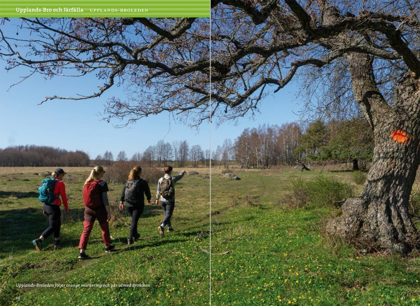 Vandra i Stockholm - del 2, view: 4