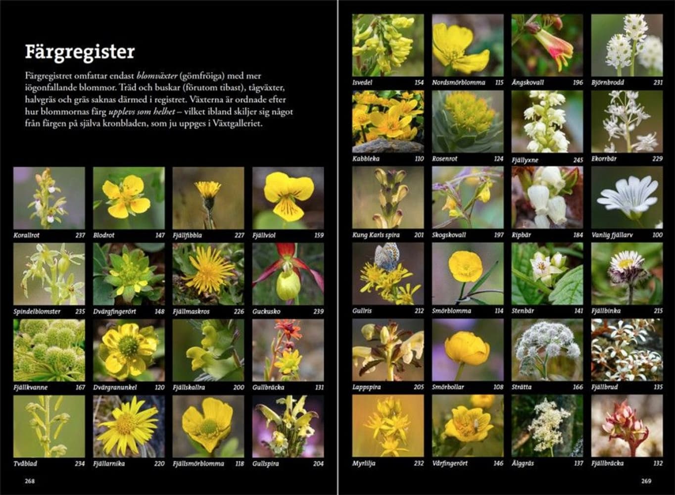 Flora for fjellvandrere, view: 8