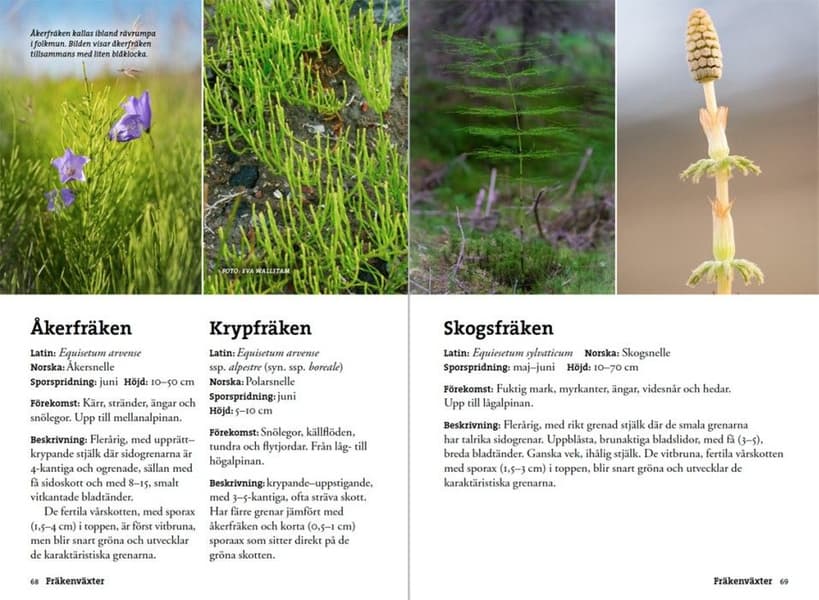 Produktbilde