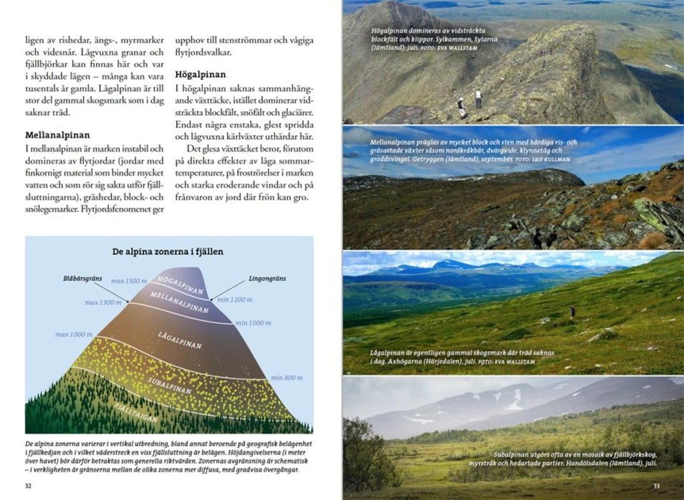 Flora for fjellvandrere, view: 3