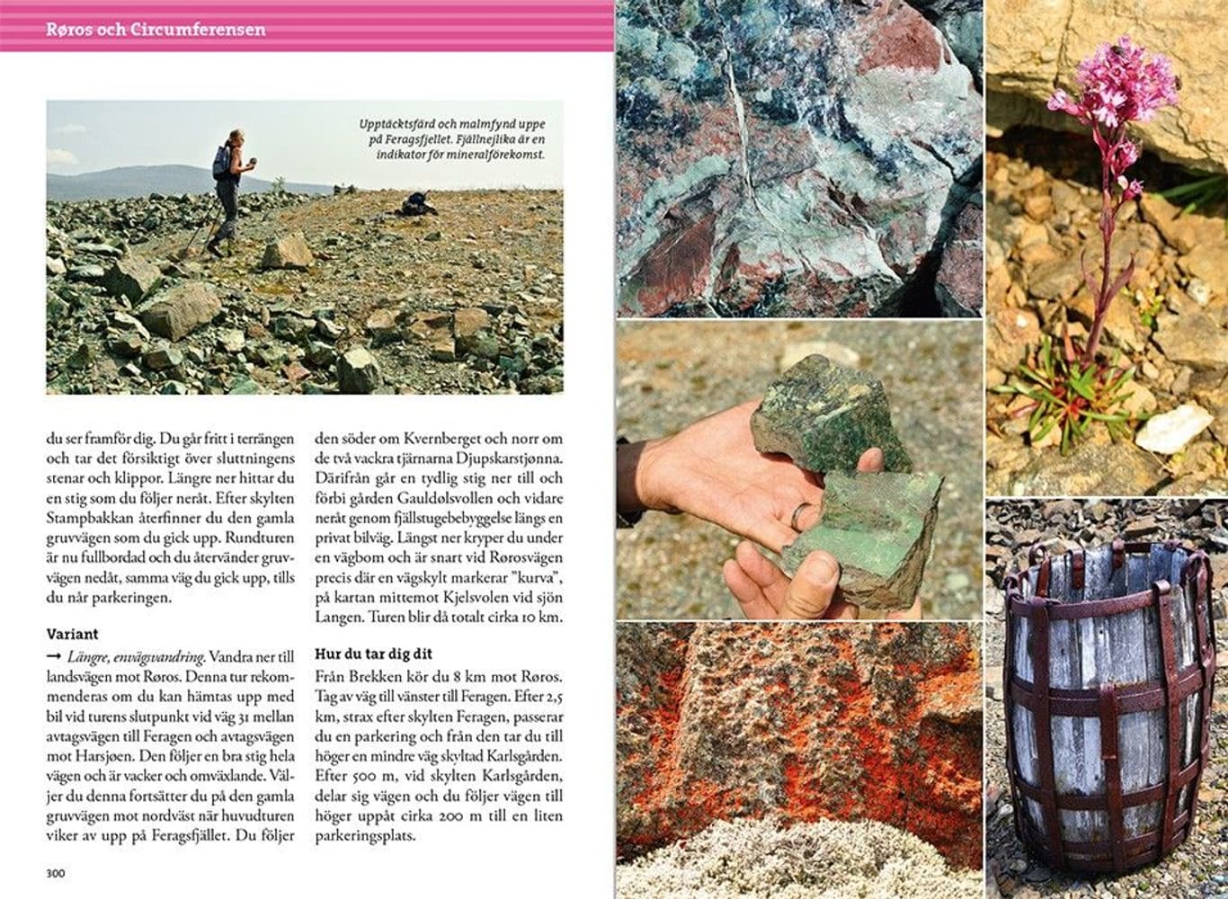 Fjällvandra i Härjedalen, view: 9