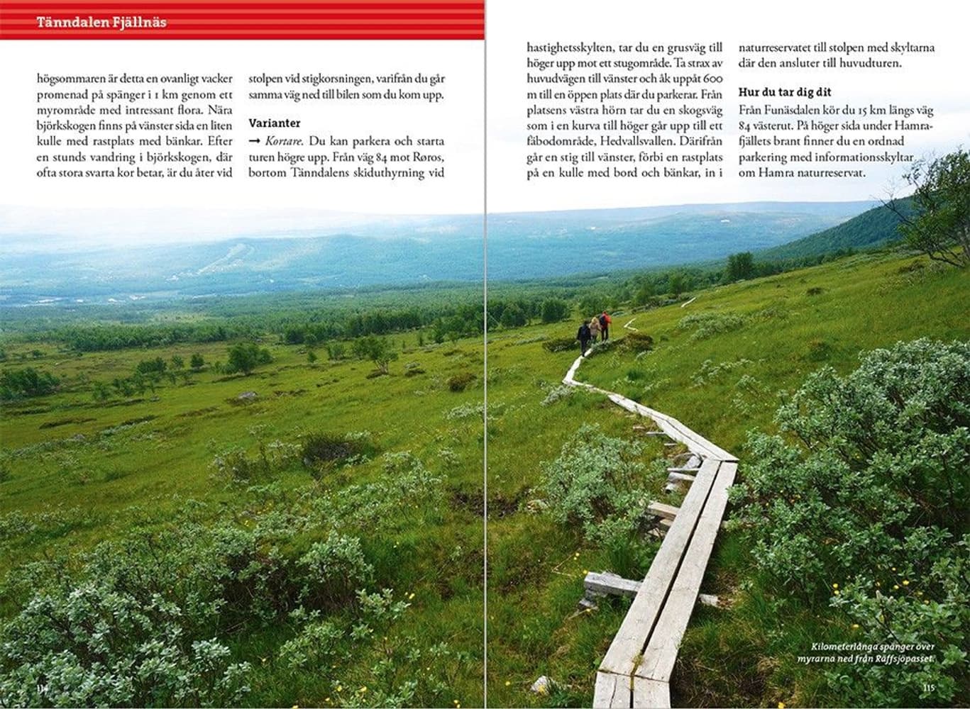 Fjällvandra i Härjedalen, view: 4