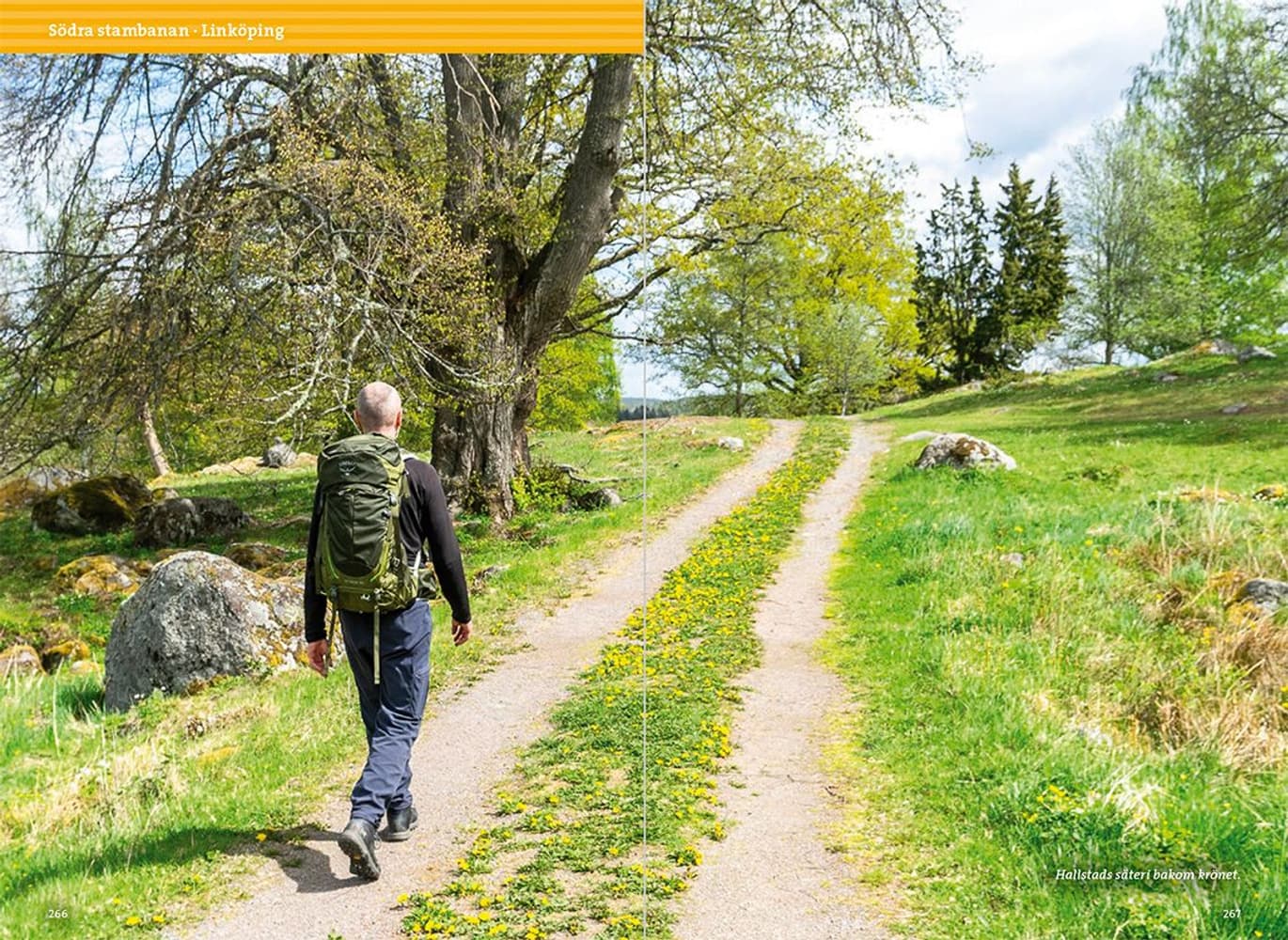 Tågvandra från Stockholm, view: 12