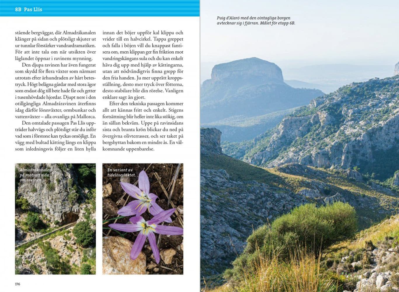 Vandre i fjellet på Mallorca, view: 9