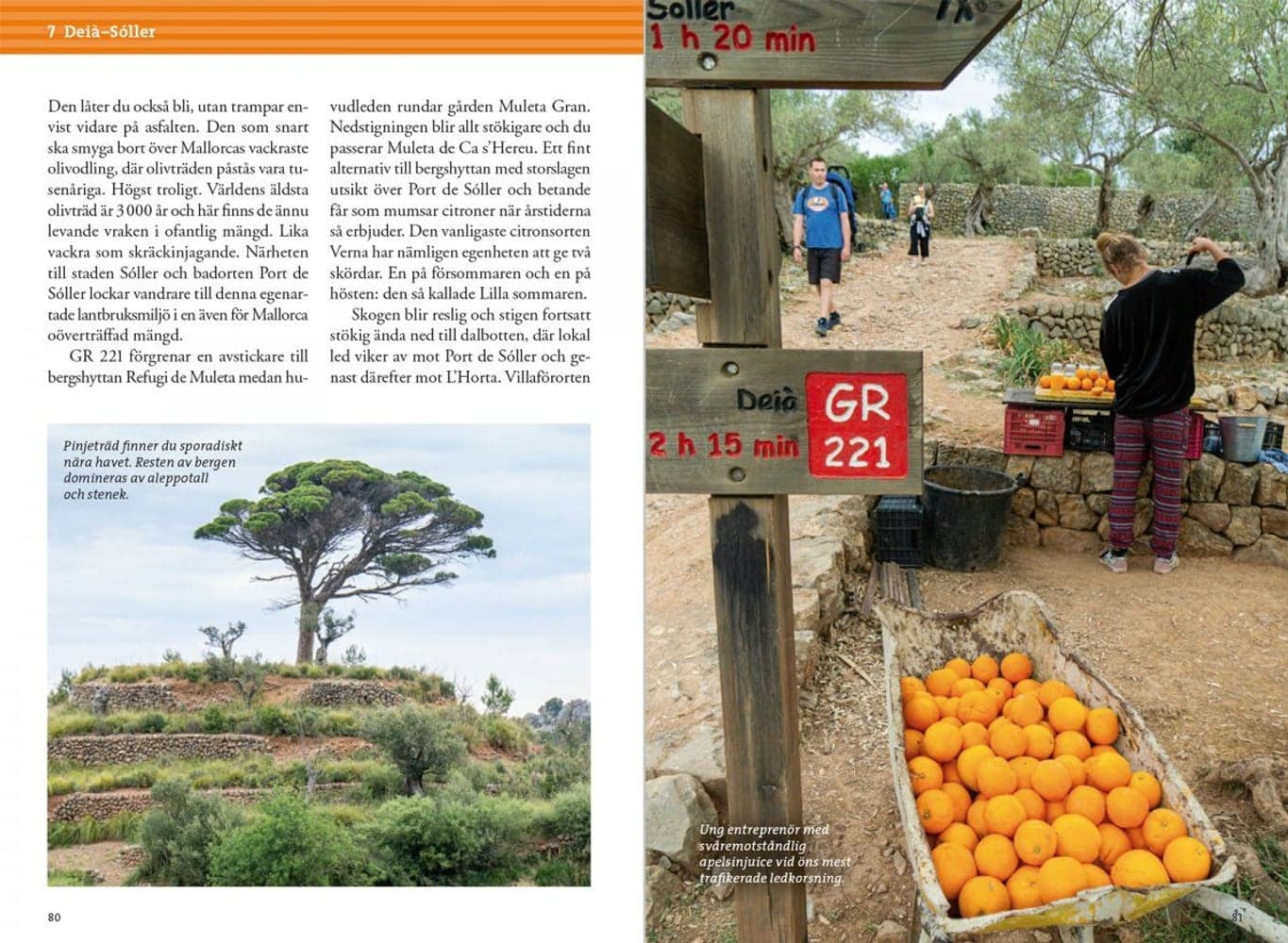 Vandre i fjellet på Mallorca, view: 5