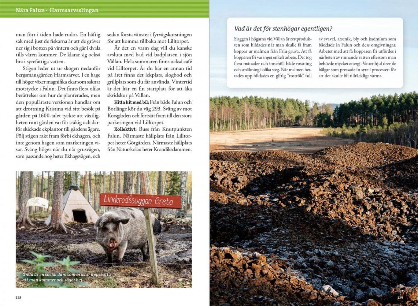 Vandring kring Falun & Borlänge, view: 6