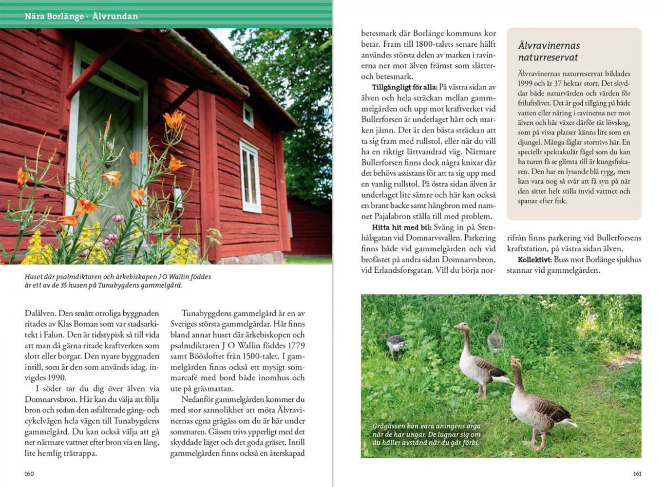 Vandring kring Falun & Borlänge, view: 8