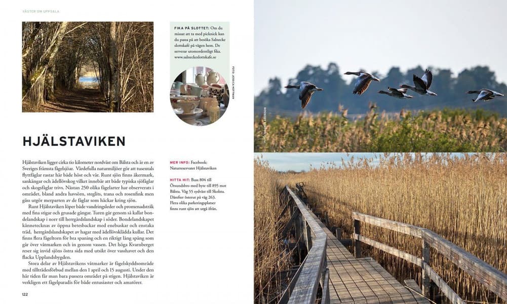 Underbara utflykter runt Uppsala, view: 13