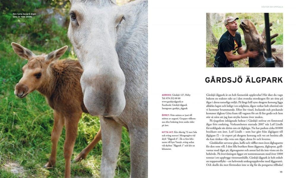 Underbara utflykter runt Uppsala, view: 11