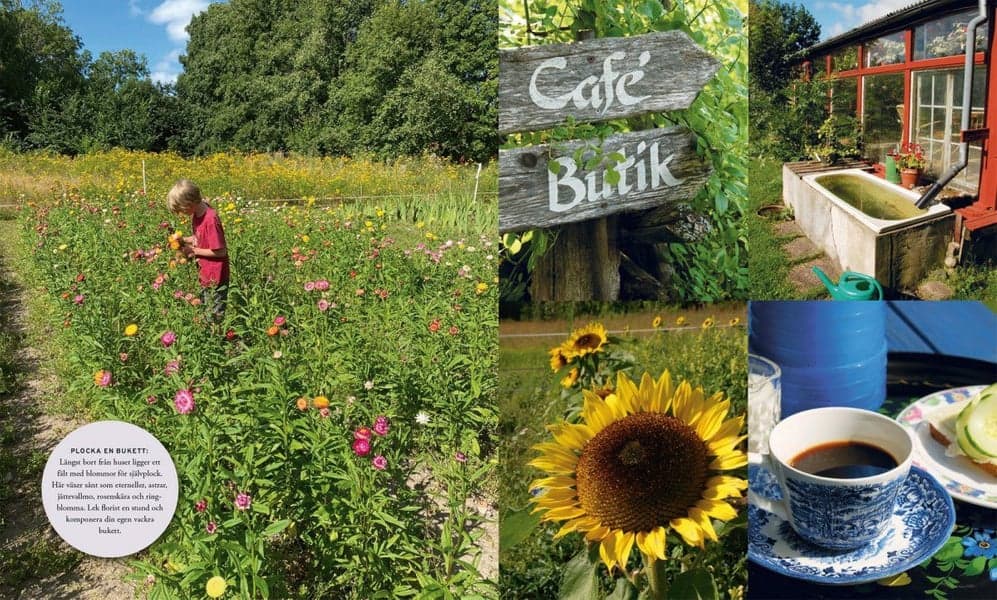 Underbara utflykter runt Uppsala, view: 9