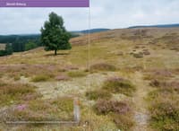 Best hiking in Sweden: Skåneleden - view: 3