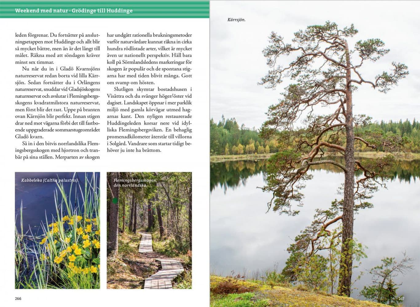 Weekendvandring rundt Stockholm, 4:e oppl, view: 10