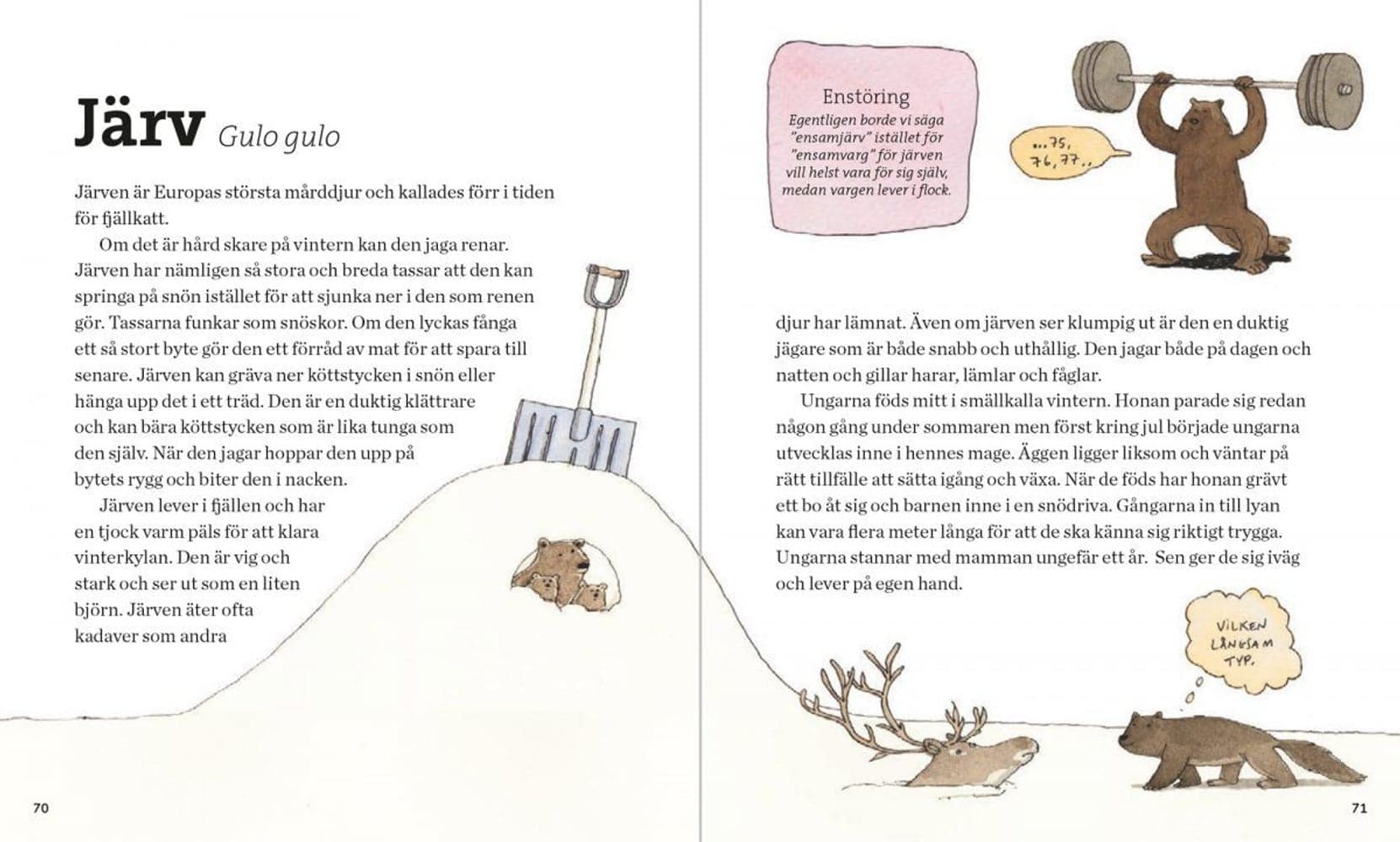 Svenska Däggdjur – lekfullt illustrerad fakta, view: 9