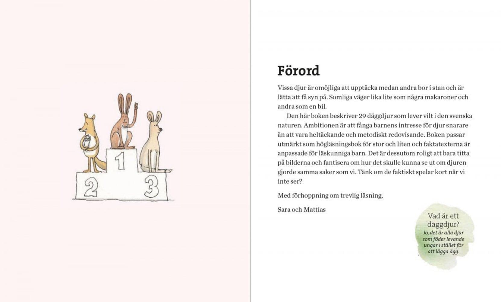 Svenska Däggdjur – lekfullt illustrerad fakta, view: 1