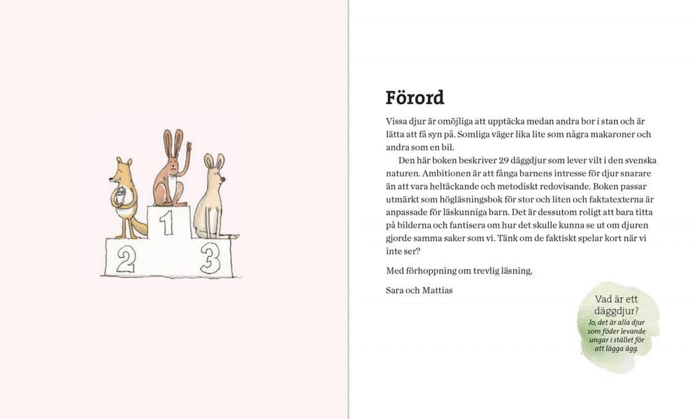 Svenska Däggdjur – lekfullt illustrerad fakta, view: 1
