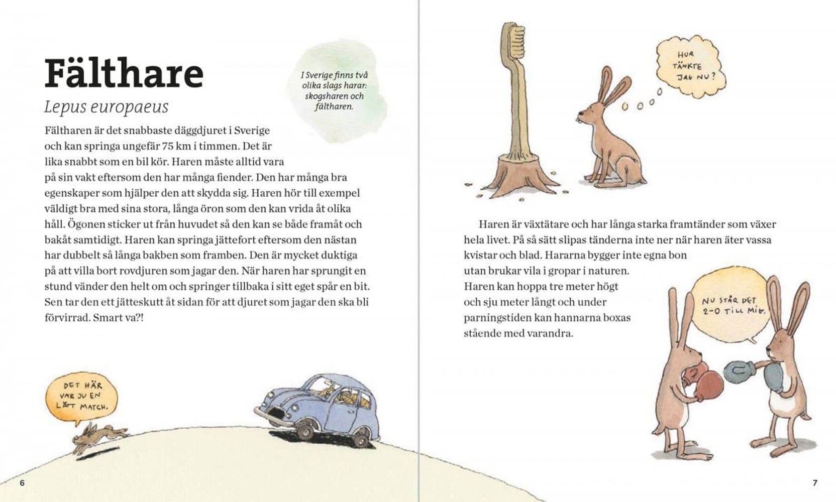 Svenska Däggdjur – lekfullt illustrerad fakta, view: 2