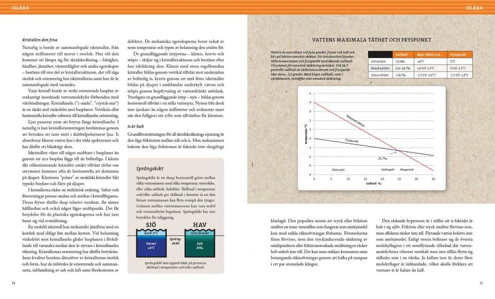 Stora boken om långfärdsskridsko – 3e upplagan, view: 2