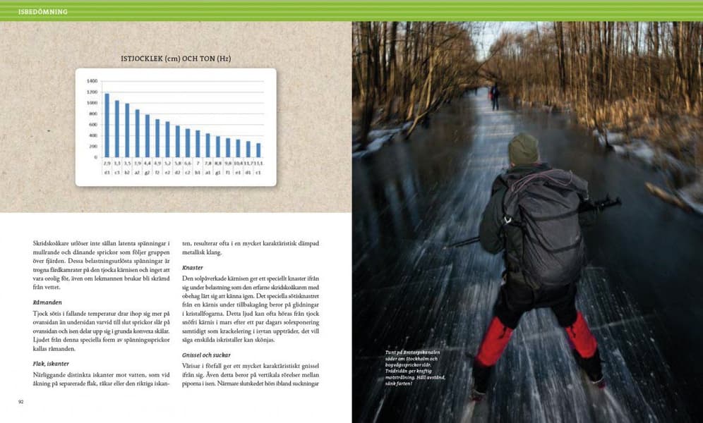 Stora boken om långfärdsskridsko – 3e upplagan, view: 8