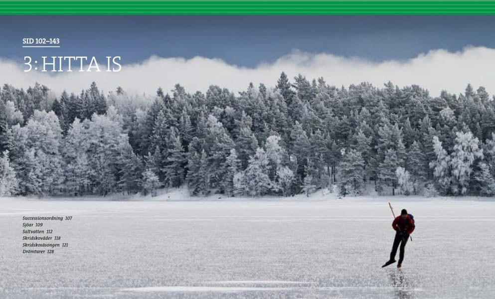 Stora boken om långfärdsskridsko – 3e upplagan, view: 9