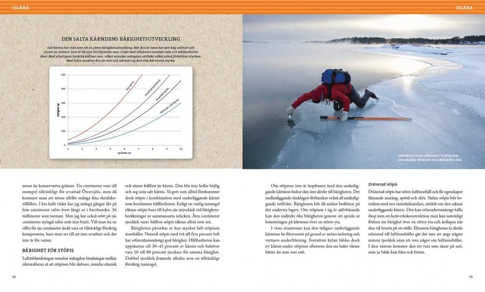 Stora boken om långfärdsskridsko – 3e upplagan, view: 3