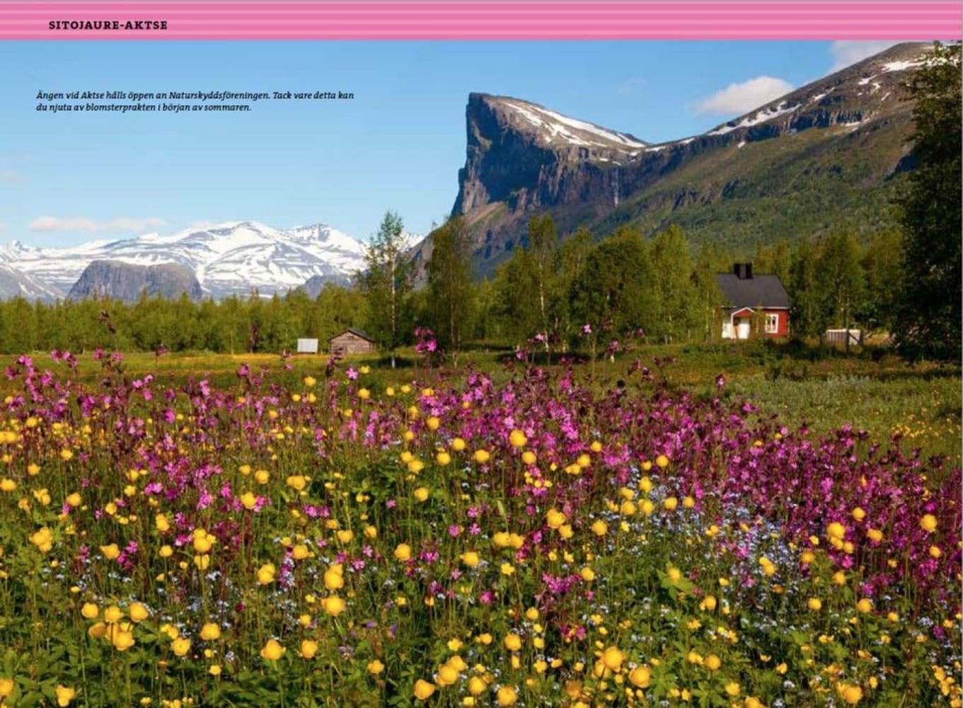 Fjällvandra längs Kungsleden: Abisko – Kvikkjokk 2:a uppl, view: 10