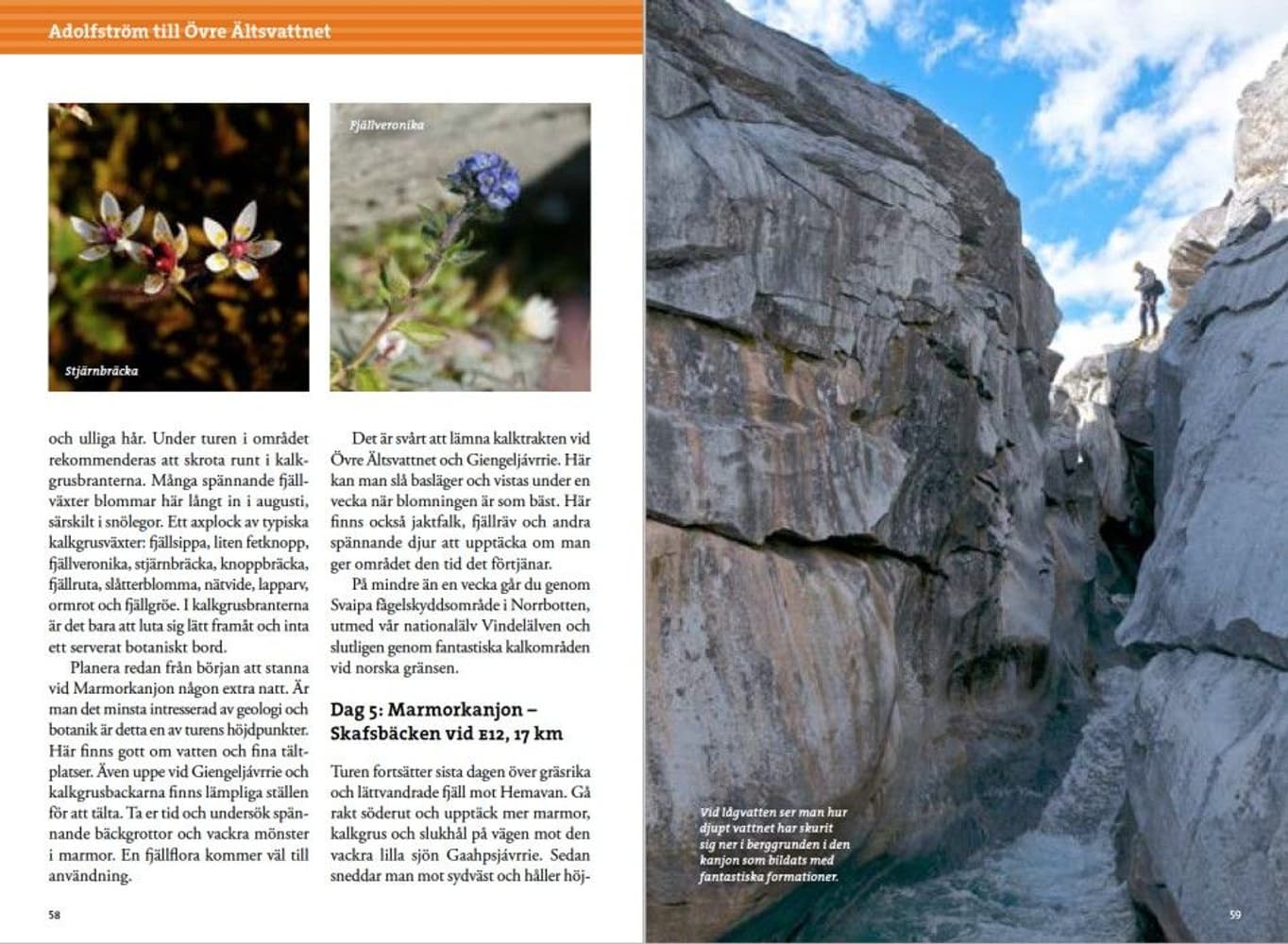 Fjällvandra i Vindelfjällen: vandringar kring Ammarnäs & Hemavan, view: 2