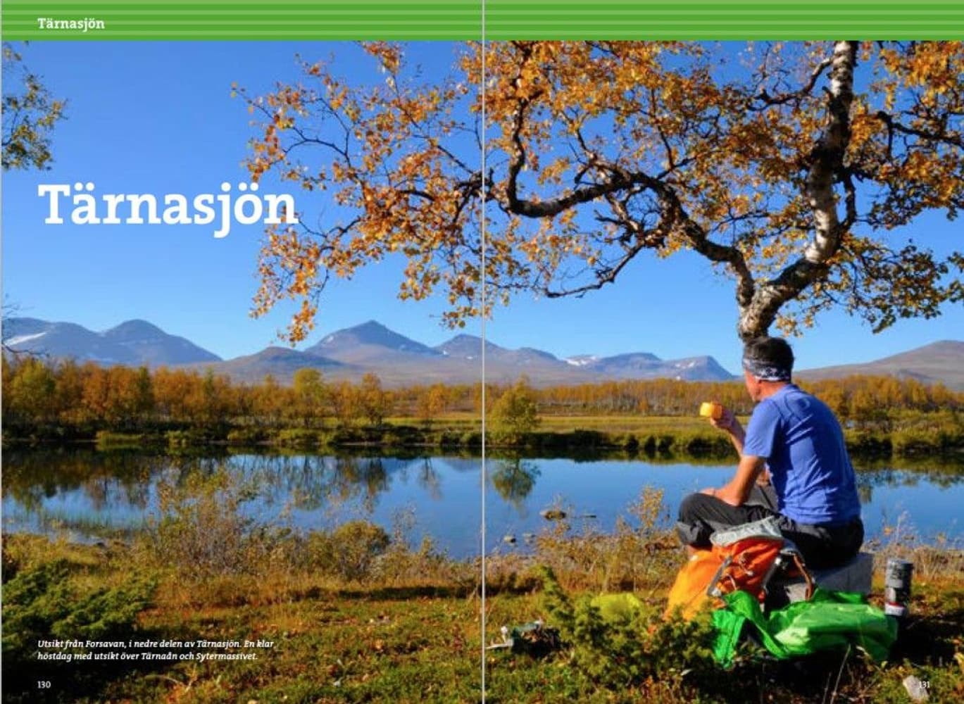 Fjällvandra i Vindelfjällen: vandringar kring Ammarnäs & Hemavan, view: 5